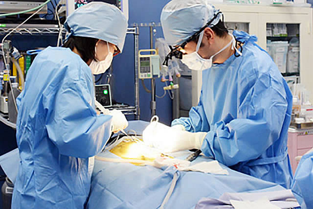 軟部外科手術